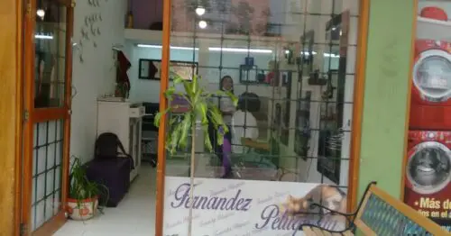 FERNANDEZ PELUQUERIA FERNANDEZ PELUQUERIA